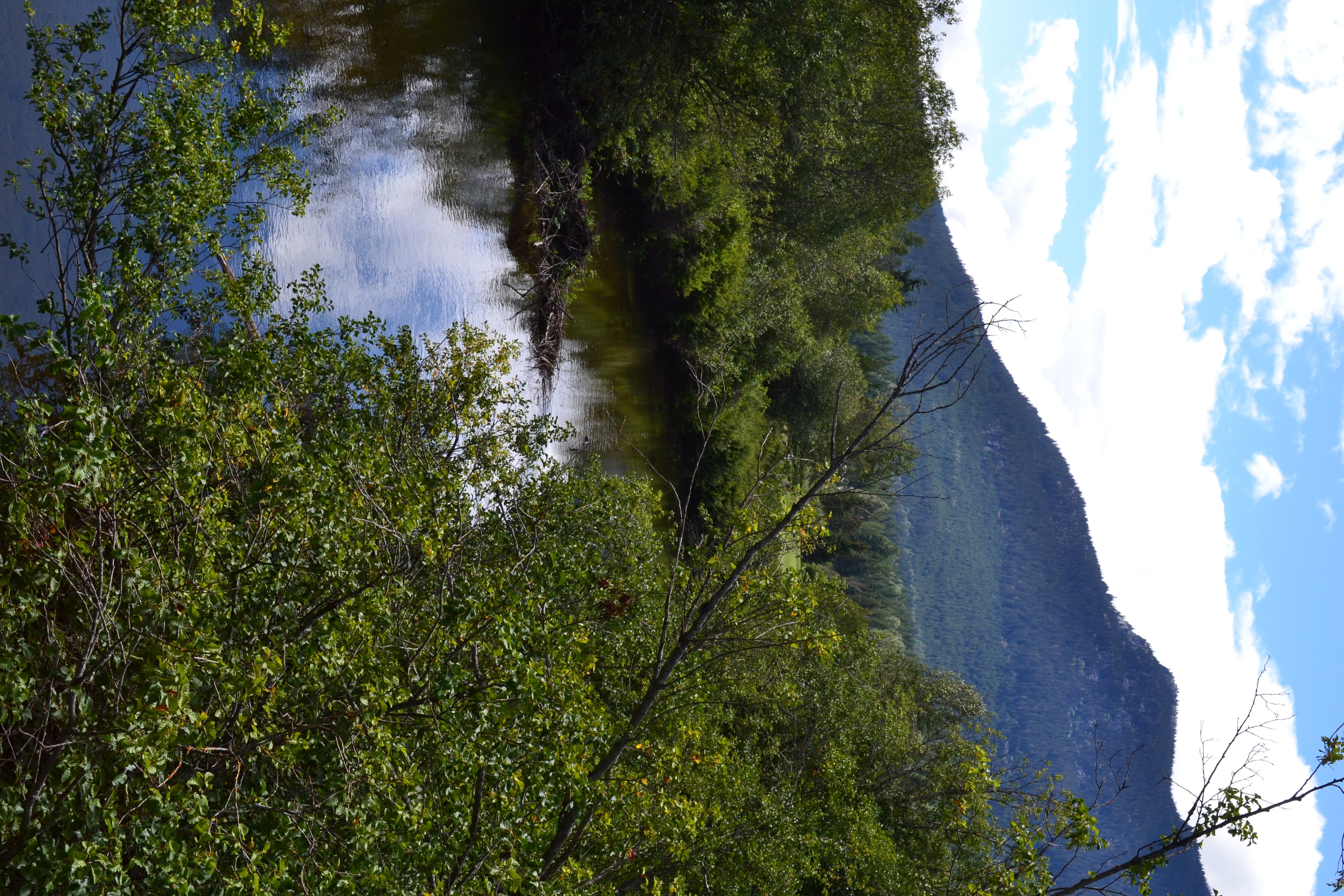 Whistler Protected Area